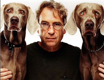 William Wegman - Dogged Persistence